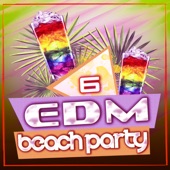 EDM Beach Party, Vol. 6 artwork