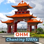 Ohm Chanting 528Hz artwork