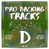 Pro Backing Tracks D, Vol.20