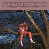 Fenomeno (Masterchef EP) artwork