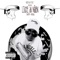 Allting är king (feat. 18Horses & Ziggie Wonder) - Sam Pell lyrics