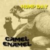 Hump Day