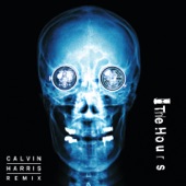 See the Light (Calvin Harris Remix) artwork