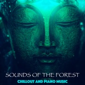 Buddha Bar - Piano Music and Sounds of the Forest artwork