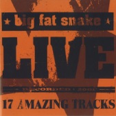 Big Fat Snake - Bonsoir Madame