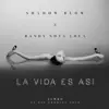 La Vida Es Así (feat. Randy nota Loca) song lyrics