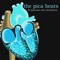 The Pica Beats - The Pica Beats lyrics