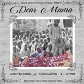 Dear Mamma artwork