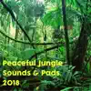 Peaceful Jungle Sounds & Pads for Meditation album lyrics, reviews, download