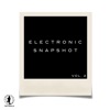 Electronic Snapshot, Vol. 2