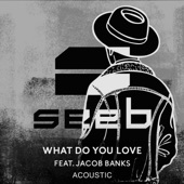 What Do You Love (feat. Jacob Banks) [Acoustic] artwork