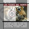 El Mas Grande Homenaje a Los Tigres del Norte (Reissue), 2001