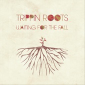 Trippin Roots - Stubborn Lungs