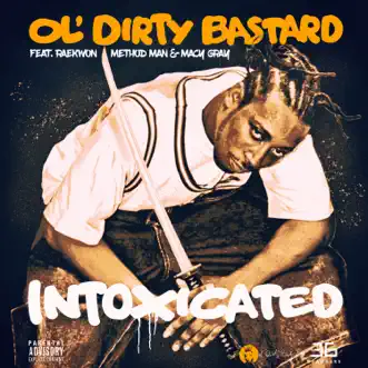 Intoxicated (feat. Raekwon, Method Man, Macy Gray) - Single by Ol' Dirty Bastard album reviews, ratings, credits