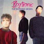 The Working Model (Deluxe Edition) artwork
