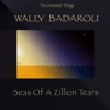 Seas of a Zillion Tears - Single