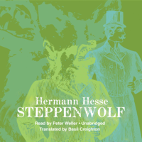 Hermann Hesse - Steppenwolf artwork