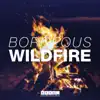 Wildfire song lyrics