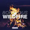 Stream & download Wildfire