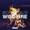 Wildfire - Single, 2014