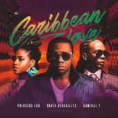 Caribbean Love (Remix) artwork
