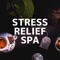 Music to Relax in Free Time - SPA & Wellness Masters Massage lyrics