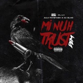 Mi Nuh Trust Dem artwork