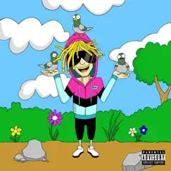 Idk by Lil Windex album reviews, ratings, credits