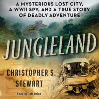 Christopher S. Stewart - Jungleland artwork