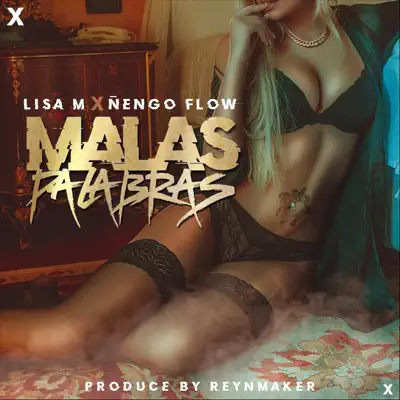 Malas Palabras (feat. Ñengo Flow) - Single - Lisa M