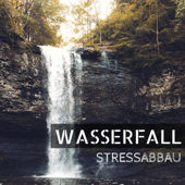 Wasserfall Stressabbau - Heilende Meer Meditationsmusik, Einschlaf Musik zum Entspannen - Entspannungsmusik Meer