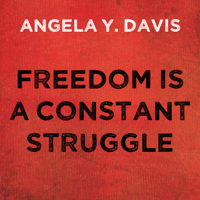 Angela Y. Davis - Freedom is a Constant Struggle: Ferguson, Palestine, and the Foundations of a Movement artwork