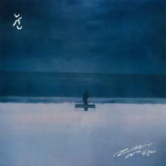 SNOW (feat. Lee Moon Sae) by Zion.T song reviws