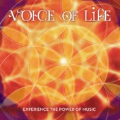 Voice of Life artwork