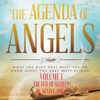 The Agenda of Angels, Vol. 1: The Veil of Secrecy - Dr. Kevin L. Zadai