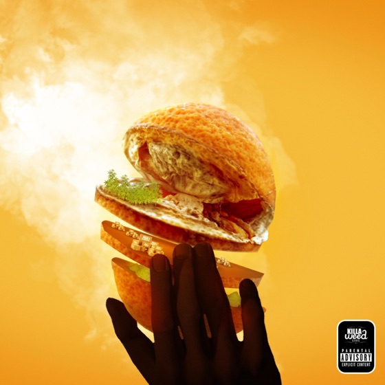 Cover artwork for Snap