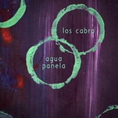 Agua Panela (Elfenberg Remix) artwork