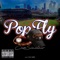 Pop Fly - Cam Sinclair lyrics