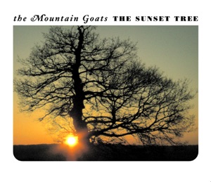 The Mountain Goats: This Year