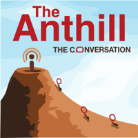 The Anthill podcast