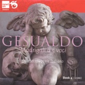 Gesualdo - Arlotti: Luci serene e chiare artwork