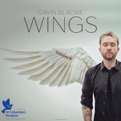 WINGS cover art