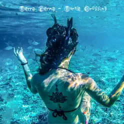 Turtle Crossing - Terra Ferma Turtle Crossing - Terra Ferma