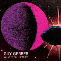 Guy Gerber - What to Do (&Me Remix) artwork