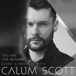 You Are the Reason (John Gibbons Remix) - Single - Calum Scott