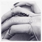 No Other Way (feat. Snakehips) by Sinead Harnett