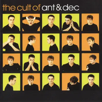The Cult of Ant & Dec - Ant & Dec