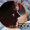 Spheres of Monk