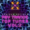 Psy Trance Top Tunes, Vol. 2