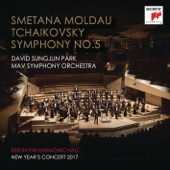 Berlin Philharmonic Hall New Year's Concert 2017 artwork